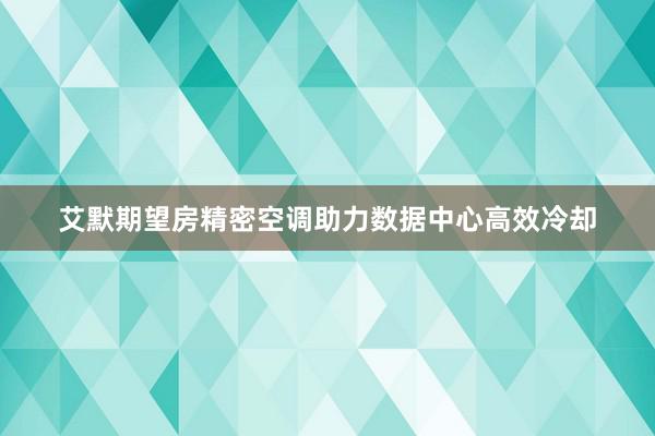 艾默期望房精密空调助力数据中心高效冷却